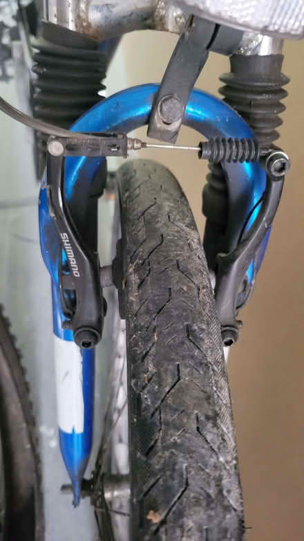 Photo of free mountain bike (Northcote Road SW11) #1