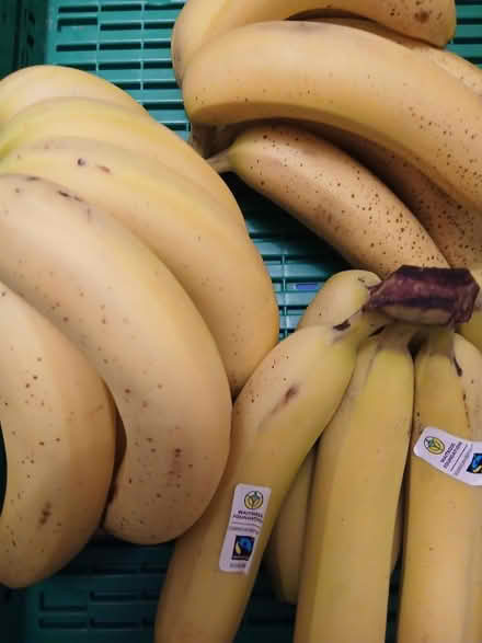 Photo of free lovely bananas 🍌 (Sheddingdean RH15) #1