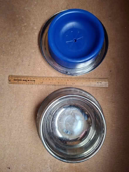 Photo of free Stainless steel dog bowl with ice pack (Old Kesgrave IP5) #1