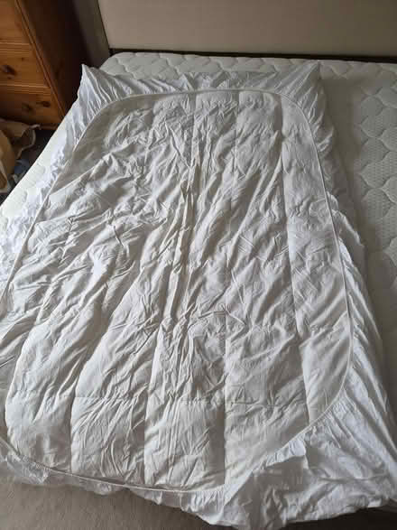 Photo of free Double mattress topper- feather (SE15) #1