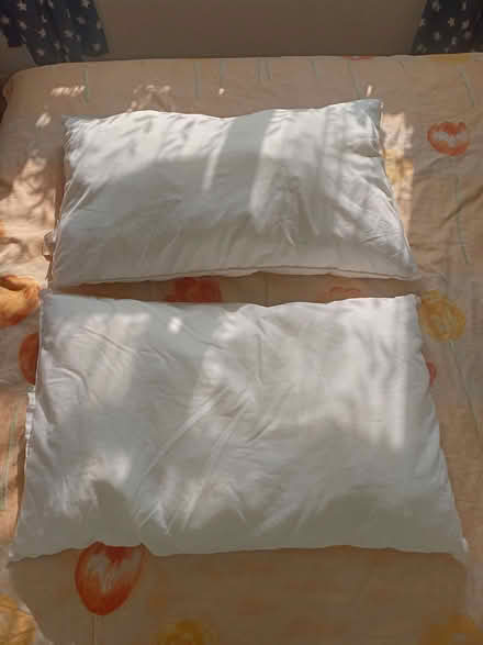 Photo of free Used Ikea pillows (Rose Hill OX4) #1