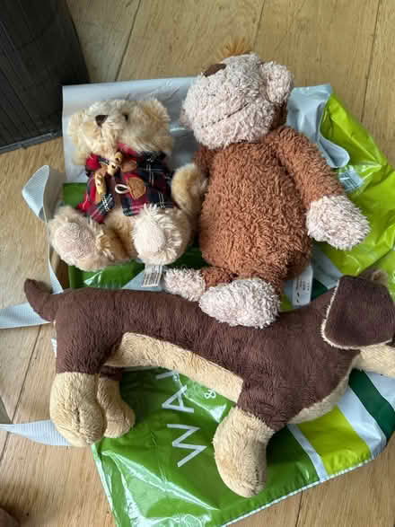 Photo of free soft toys (east village E20) #1