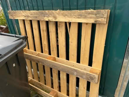 Photo of free Wooden pallets (Jersey Farm AL4) #1