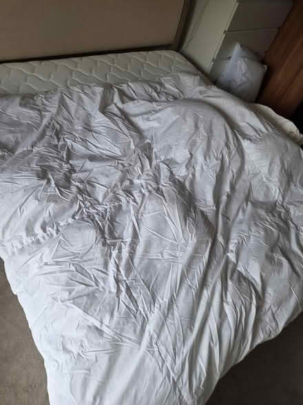 Photo of free M&S 10.5 tog Double feather duvet (SE15) #1