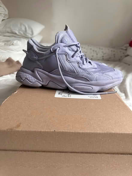 Photo of free Adidas Ozweego 6.5 (Brixton SW9) #1