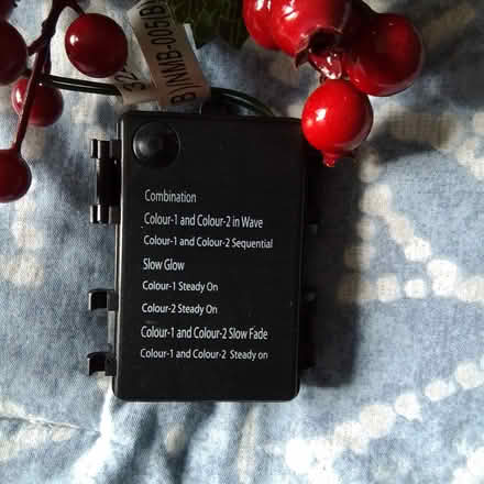 Photo of free Christmas Garland (Uplands / Riverside) #2