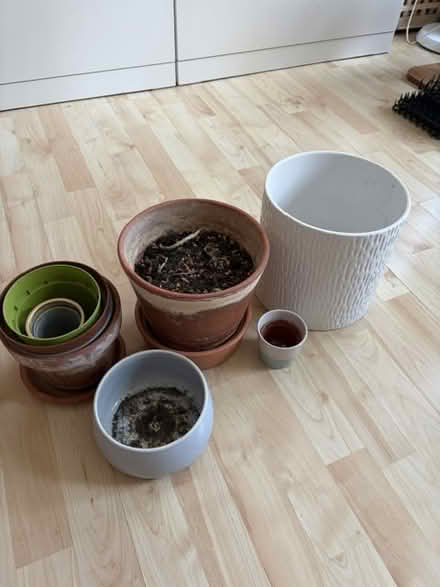 Photo of free Plant pots (SW10) #1