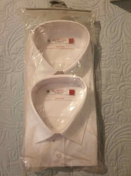 Photo of free Mens' shirts (Trowbridge BA14) #1