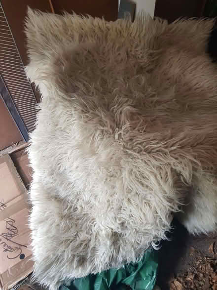 Photo of free Small shaggy rug (Timperley WA15) #1