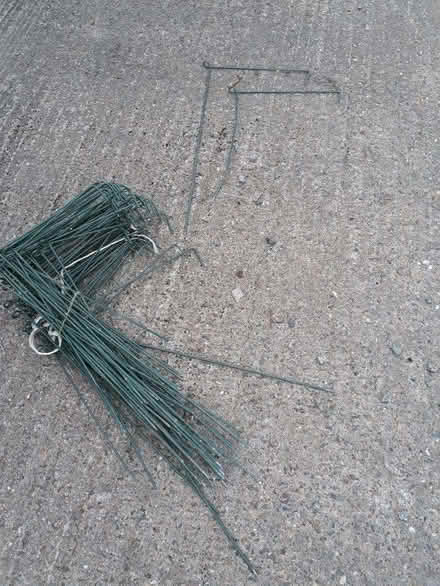 Photo of free Plant Support Stakes (Montgomery SY15) #1