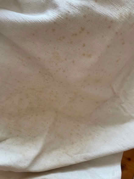Photo of free Enormous pair of curtains (Summertown OX2) #3