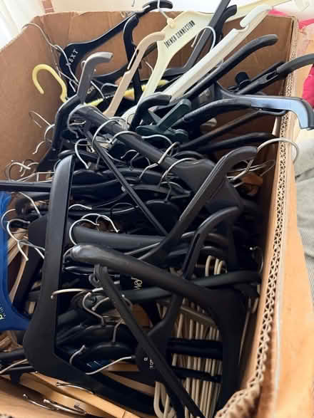 Photo of free Plastic Coat Hangers (Penrith CA11) #1