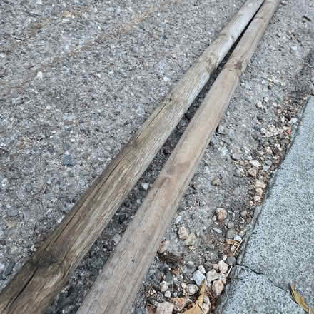Photo of free Trees support poles -3 (94041) #1