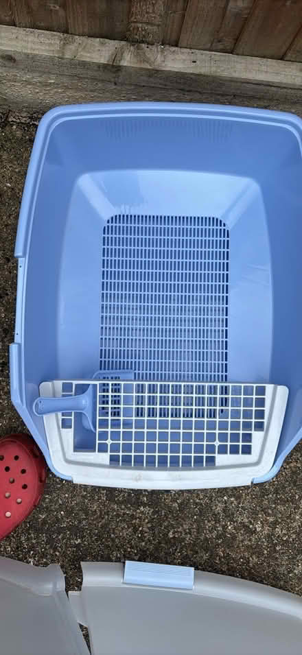 Photo of free Cat Litter Tray (New Malden KT3 4) #2