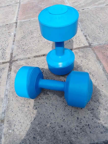 Photo of free Blue Dumbbells 4.5k weight (Bexhill TN39) #2