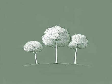 Photo of free small trees (about a foot high) (Devizes SN10) #1