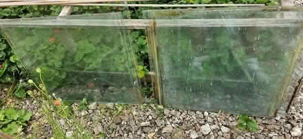 Photo of free Greenhouse glass panes (Brookhouse LA2) #1