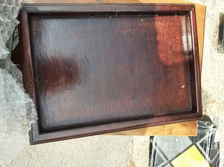 Photo of free Bonsai set for planting (Emmer Green RG4) #2