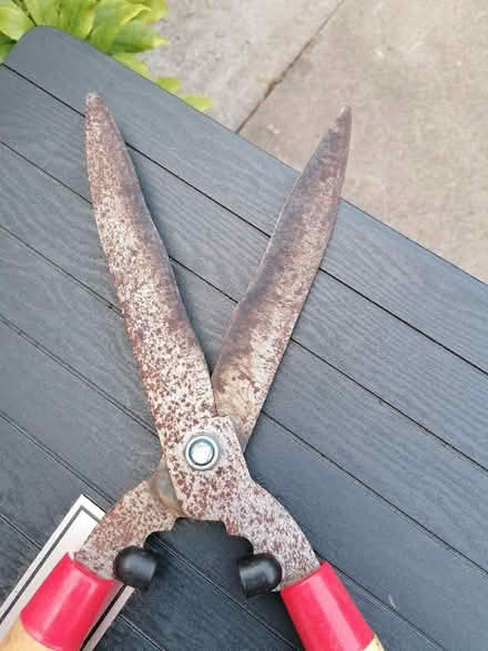 Photo of free garden shears (Presteigne LD8) #2