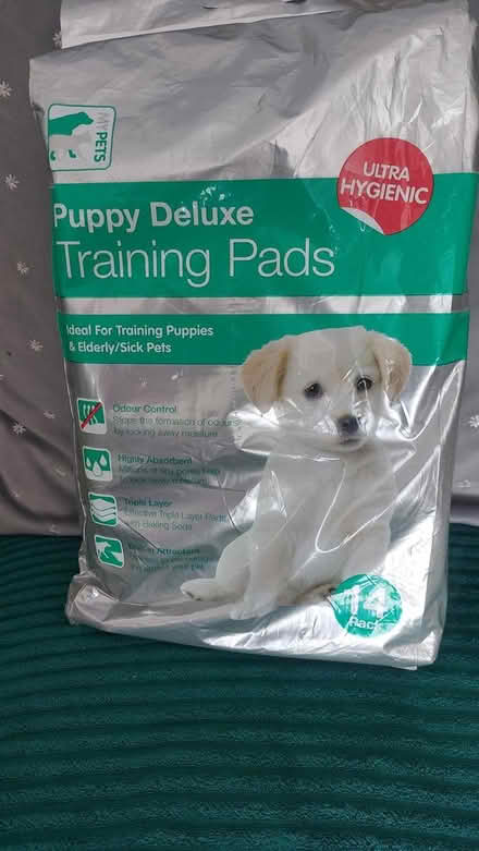 Photo of free Puppy deluxe training pads (dorset BH12) #1