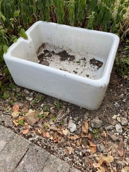 Photo of free Butlers sink used for planting (Little Kingshill HP16) #1