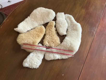 Photo of free Baby-safe sheepskin offcuts (West Blatchington BN3) #1