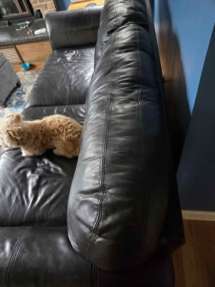Photo of free Couch (Milwaukie, Ardenwald) #3