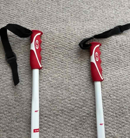 Photo of free Salomon ski poles, 48’ (Selhurst SE25) #2