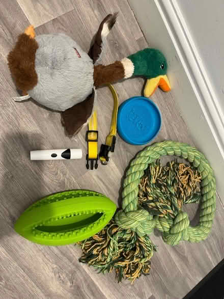 Photo of free Dog bundle (B113hj) #1