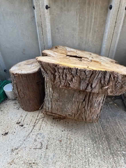 Photo of free Conifer logs (Freeland OX29) #1