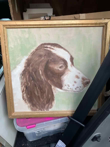 Photo of free 4 medium large picture frames (Llandaff CF5) #2