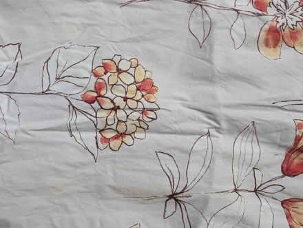 Photo of free Curtains (Salph End MK41) #1