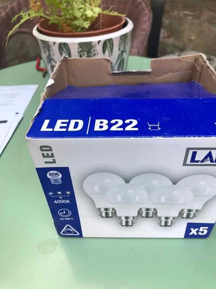 Photo of free Light bulbs (Corsham SN13) #1