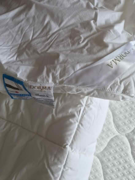 Photo of free 2nd Double mattress feather topper (SE15) #3