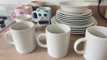 Photo of free Plates/cups (TN27, Headcorn) #1