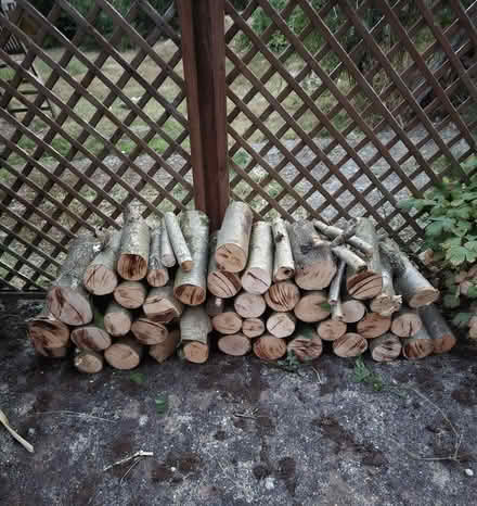Photo of free Logs (Godstone Surrey RH9) #1