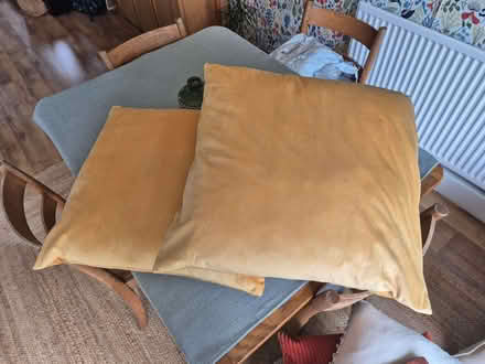 Photo of free X2 yellow velvet cushions (Strawberry Hill TW2) #1