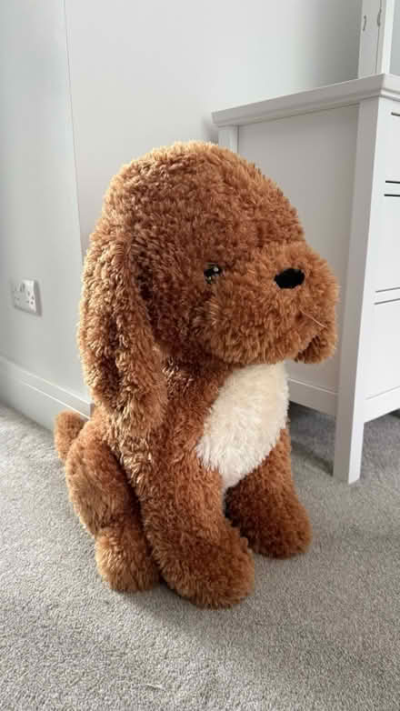 Photo of free Large Kids Dog Teddy (Kingswood KT20) #1