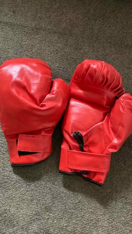 Photo of free Adult boxing gloves (Brighton BN2) #1
