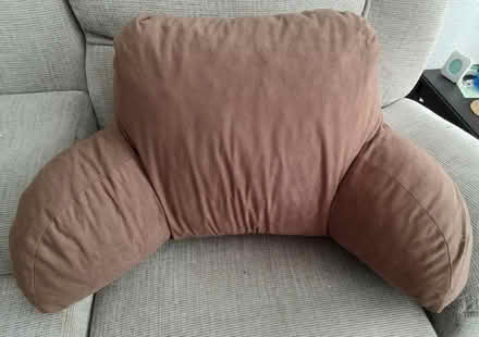Photo of free Bed Rest/Reading Pillows with Arms. (Franche DY11) #1