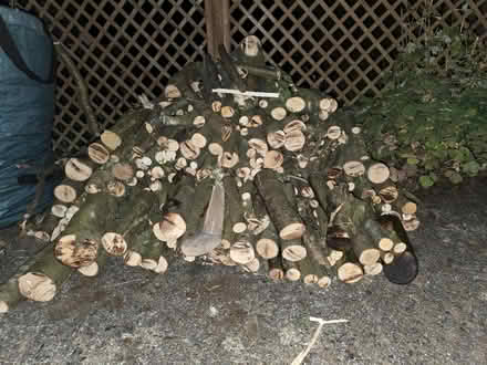 Photo of free Logs (Godstone Surrey RH9) #3