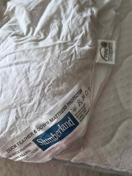 Photo of free Double mattress topper- feather (SE15) #2