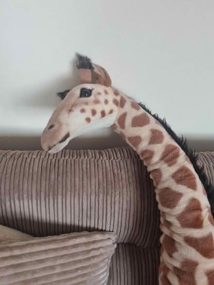 Photo of free Large cuddly giraffe (Ramsgate CT11) #2