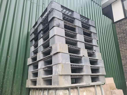 Photo of free Plastic pallets. (Red Scar PR2) #1