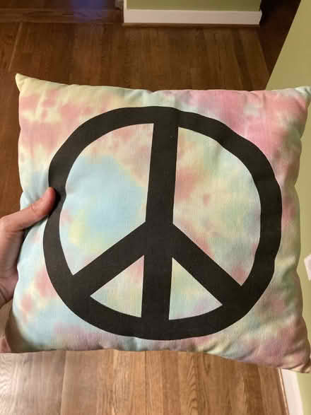 Photo of free Throw pillow (near Fort Totten metro) #1