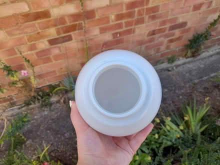 Photo of free White glass bulb (Eastbourne BN22) #1