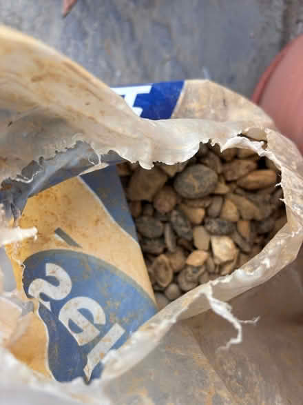 Photo of free Pebbles for garden etc (Tollington N4) #2