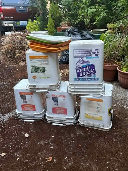 Photo of free Five Plastic Buckets (Fremont) #2