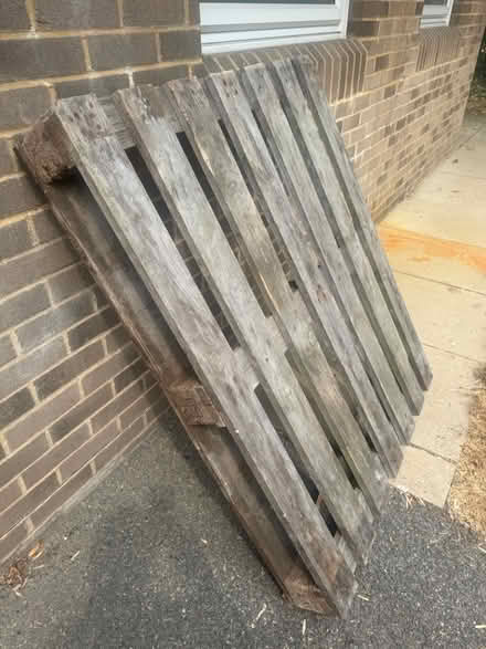 Photo of free Wooden pallet (portslade bn41) #3