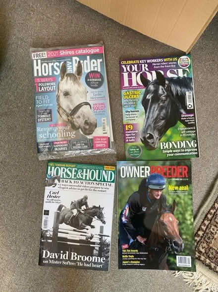 Photo of free Equestrian magazines (Cambridge CB1) #1